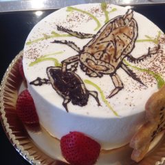 昆虫や動物もケーキに